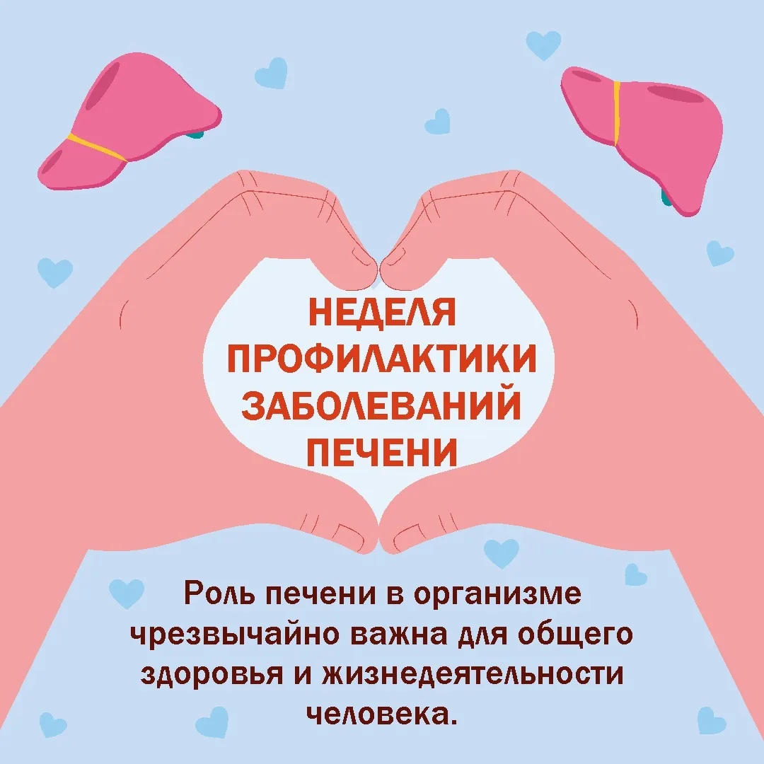 Профилактика заболеваний печени.                                                                    