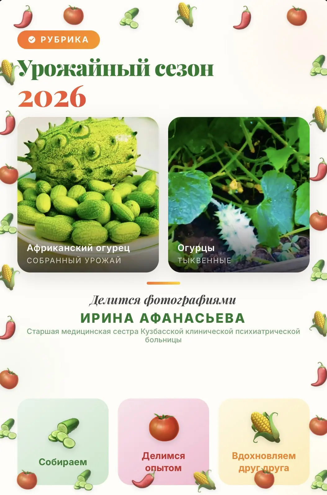 «УРОЖАЙНЫЙ СЕЗОН-2026»