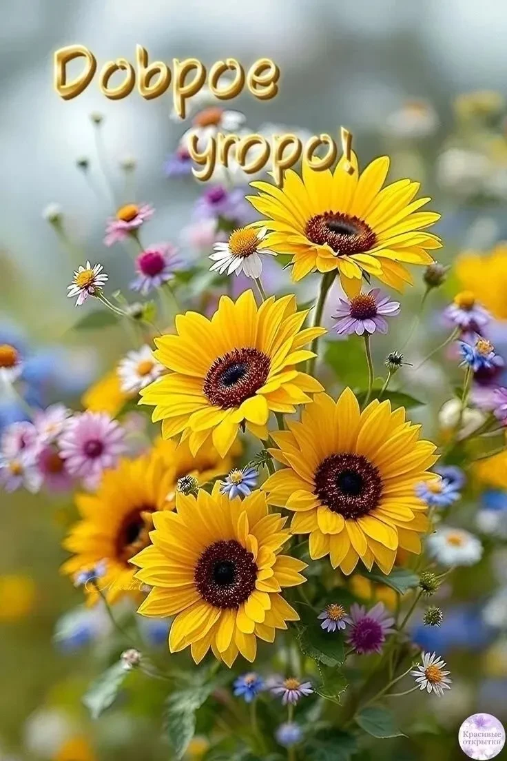 Доброе утро!