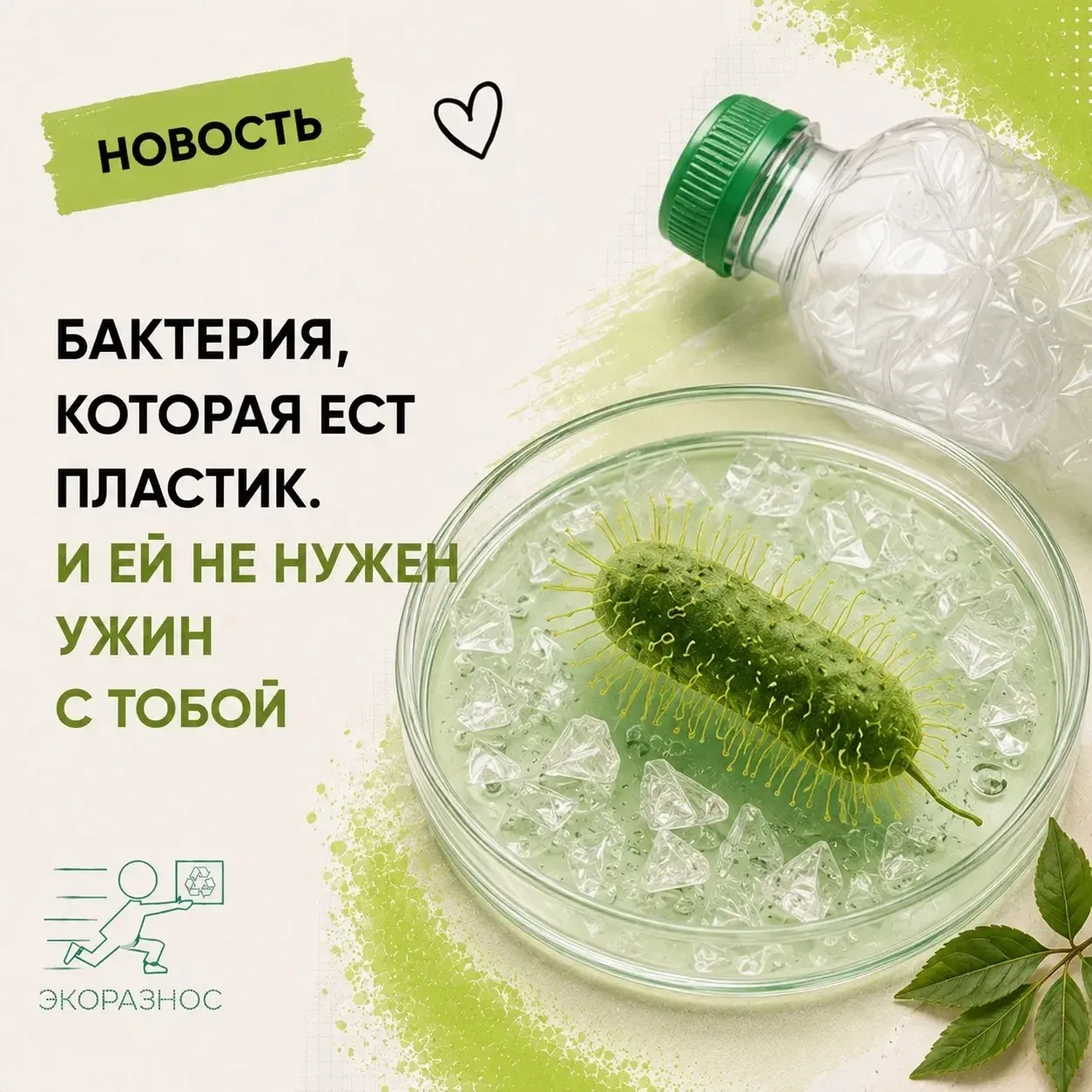 Вы когда-нибудь задумывались, куда деваются пластиковые бутылки после того, как вы их в...