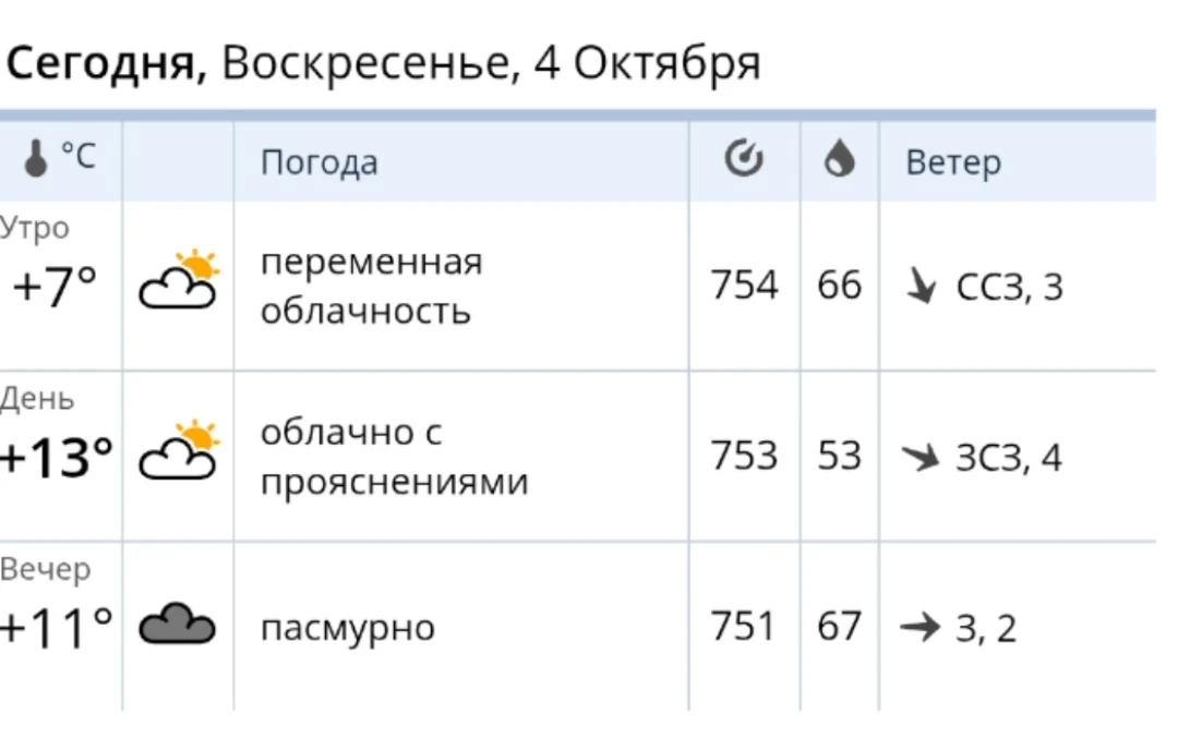 В 06:00 на метеостанции «Елец» было +3.5°C, преимущественно облачно, дымка, ветер юго-з...