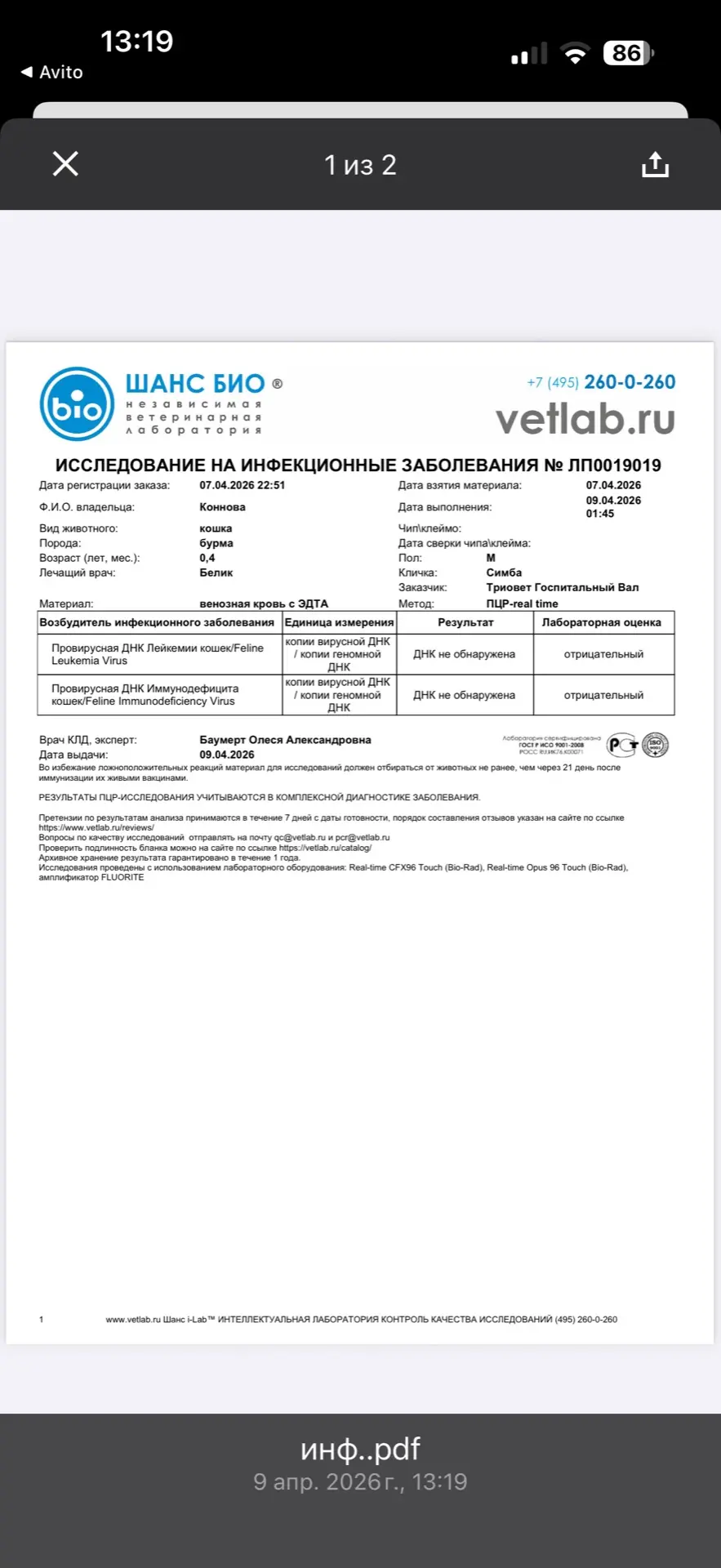 Дорогие друзья, самые страшные неизлечимые болезни кошек это иммунодефицит и лейкоз.