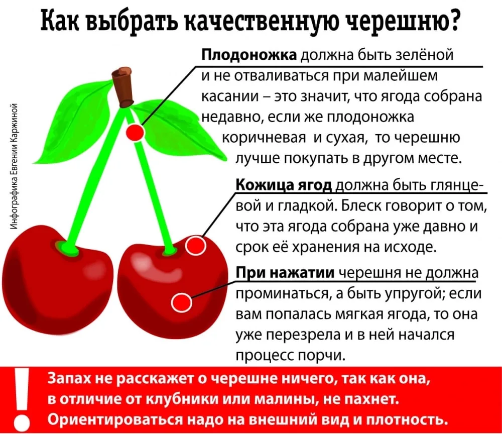 Чем может быть опасна черешня с рынка 

Вслед за ранней клубникой на прилавках рынков и магазинов по