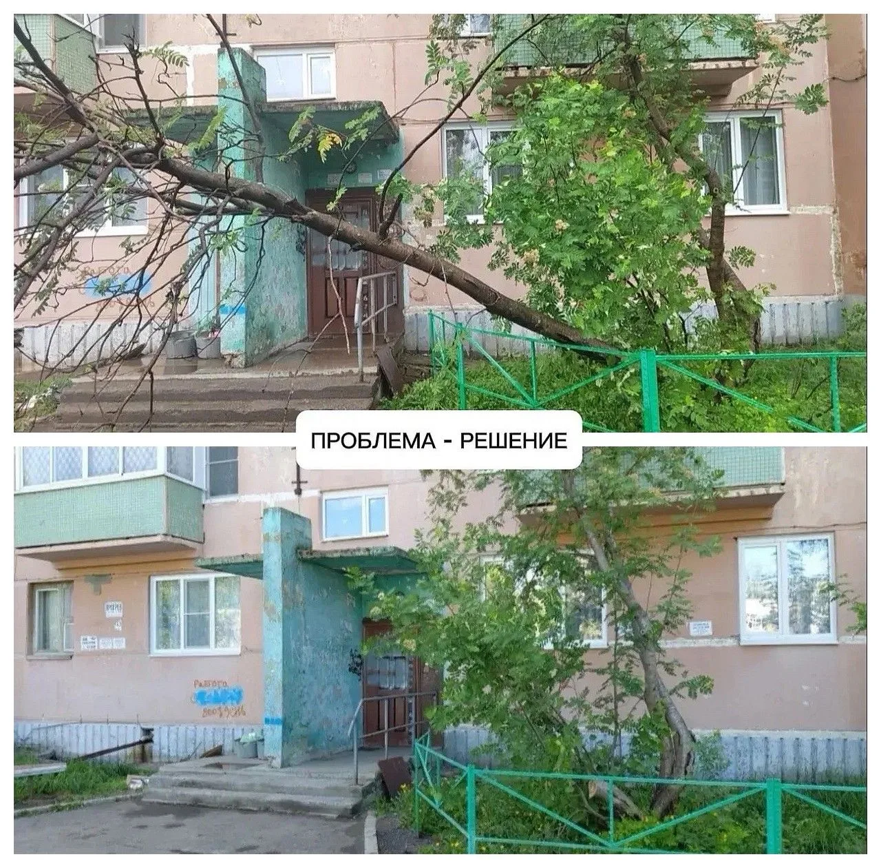 Городские службы оперативно отреагировали на информацию о поваленных ветром деревьях 🌳 
 
Частично 