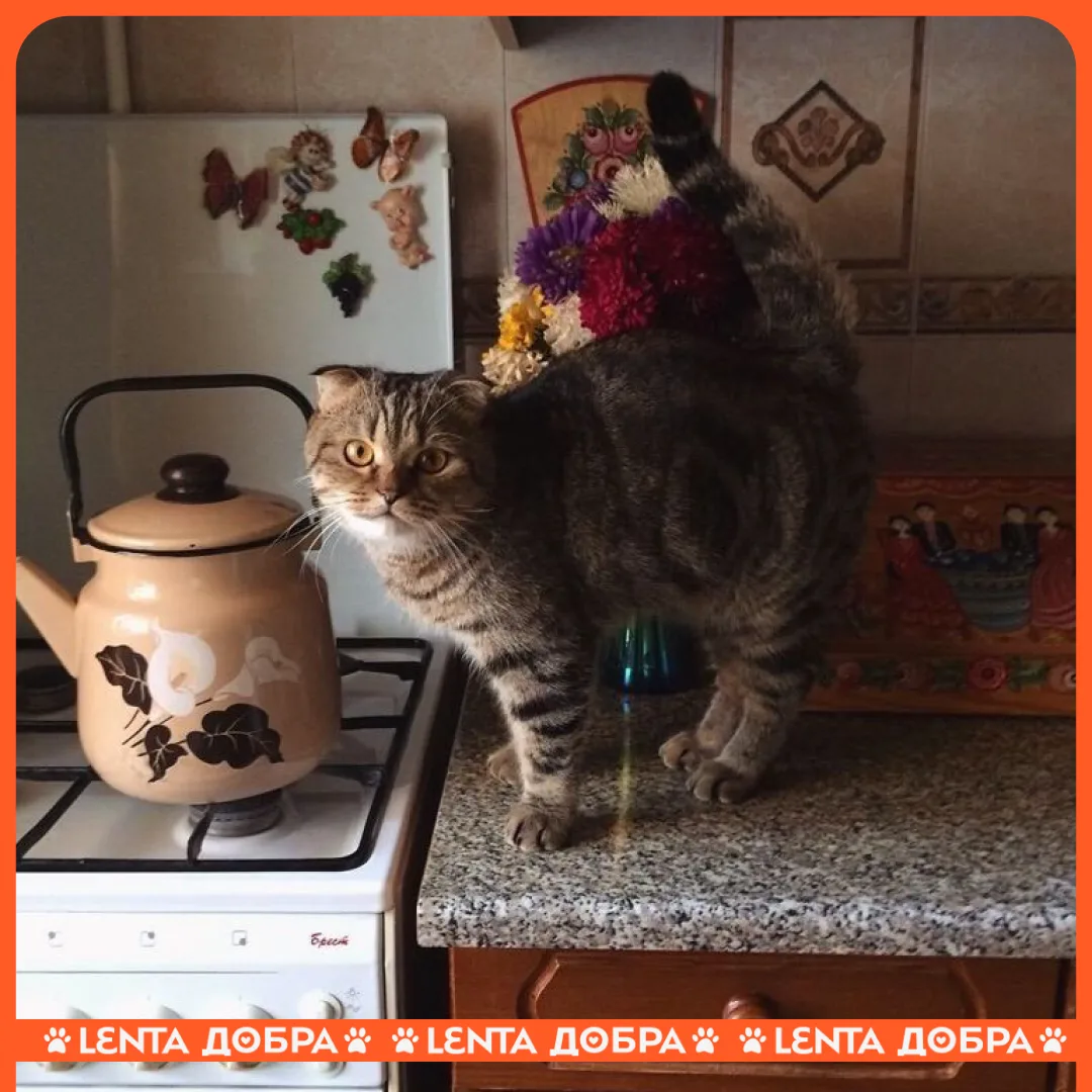 🍁 Изо всех сил романтизируем осень вместе с главными кайфушниками планеты.