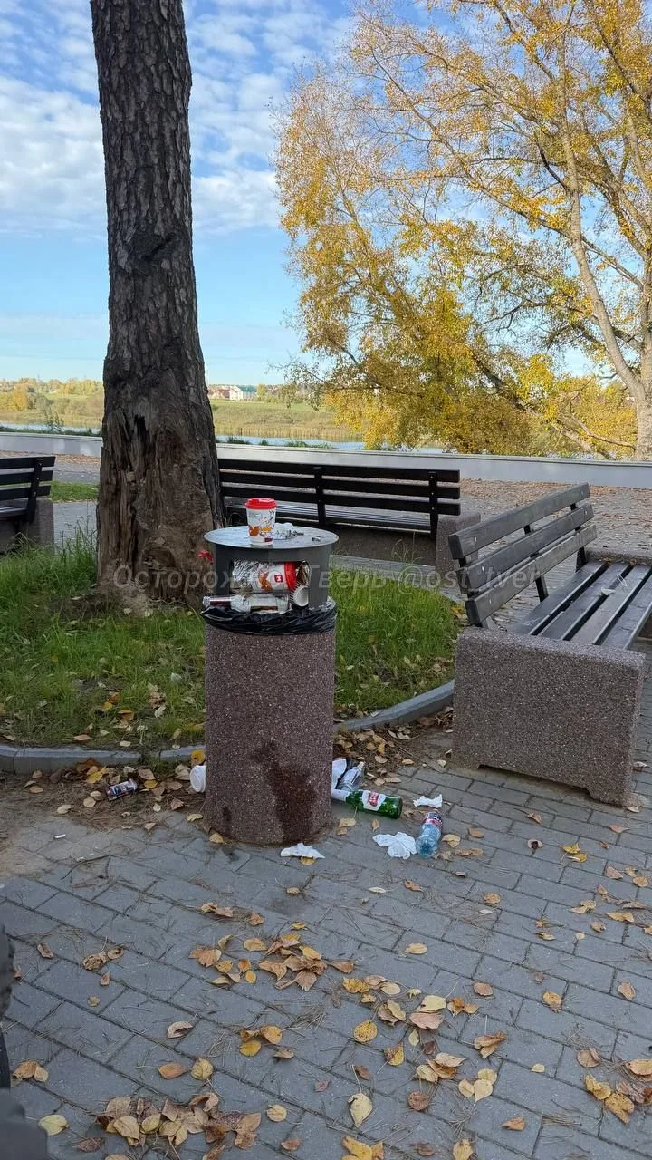 ✍️ Подписчик возмутился поведением людей на новой набережной