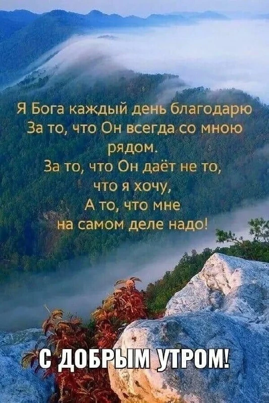 🌸🩵🌸🩵🌸🩵🌸🩵🌸