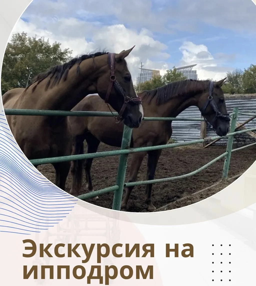 Экскурсия на Красноярский ипподром - это возможность не только погладить и покормить лошадей. Это во
