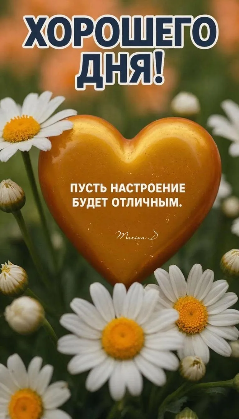 💌 Добрые открытки в MAX