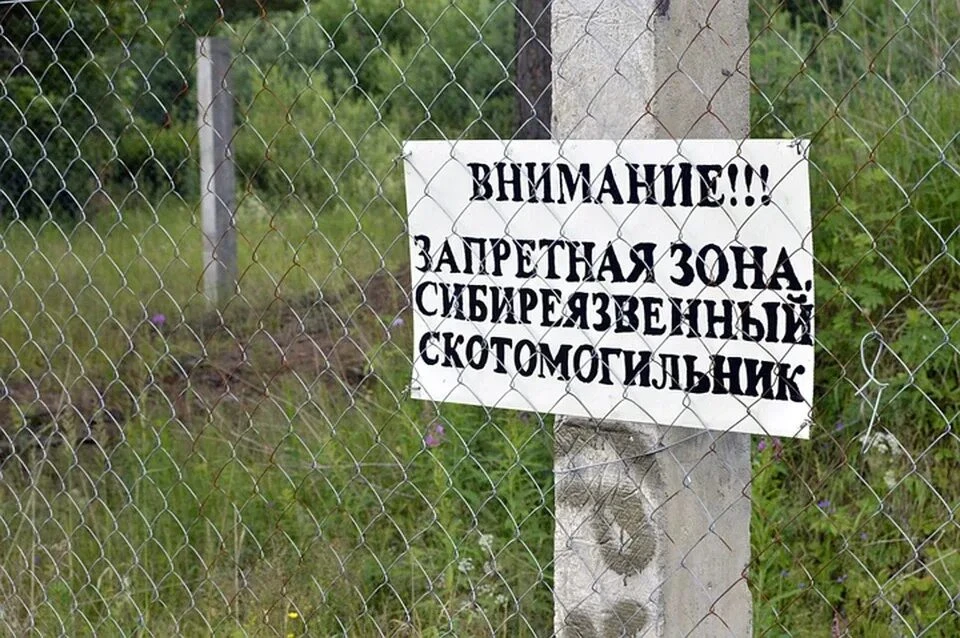 Администрация Сарапульского района ищет подрядчика на восстановление ограждений сибиреязвенных захор