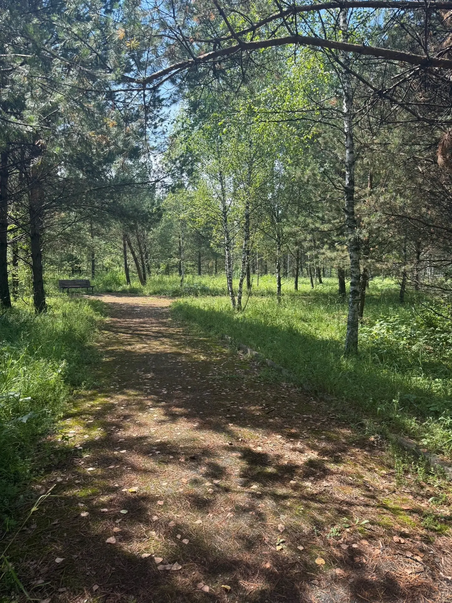 Доброе утро, новокузнечане 🙌🏻