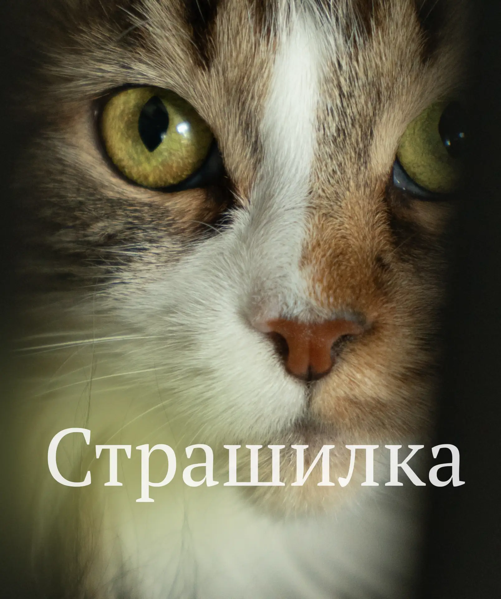 СТРАШИЛКА

Сегодня расскажу вам страшилку, которую наблюдала в одной знакомой семье. Жили-были родит