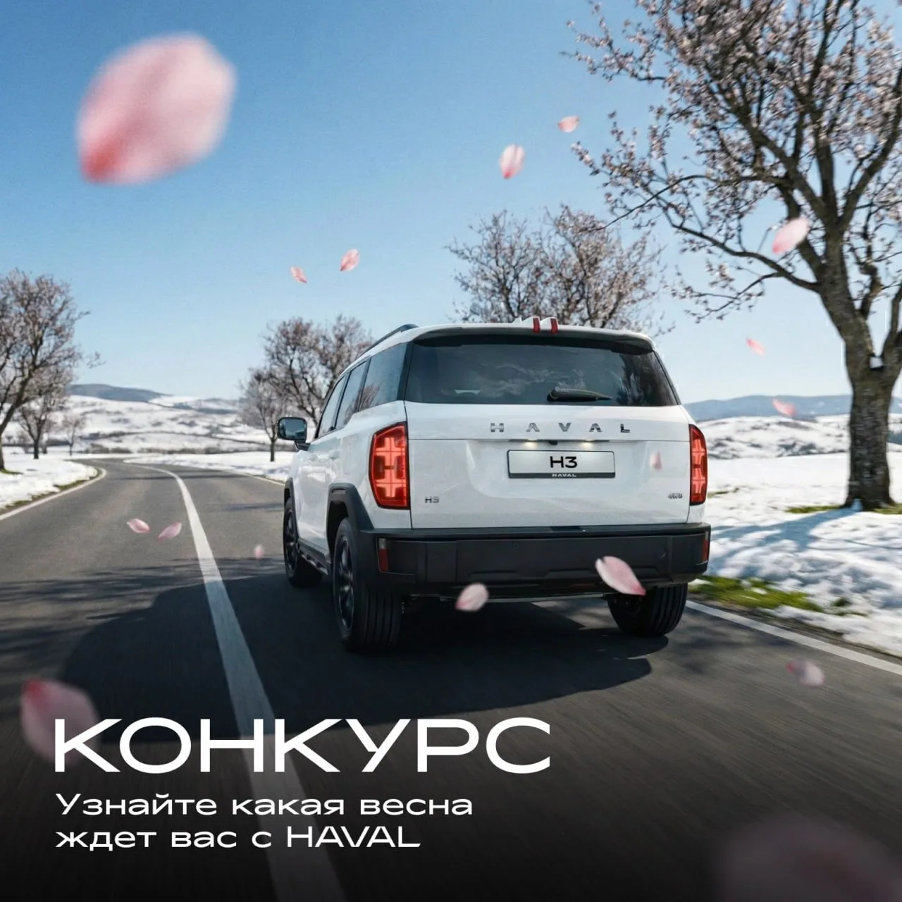 Кейс: как собрать 61% конверсии в публичное действие

Бренд HAVAL Russia. Весна, никакого «продающег