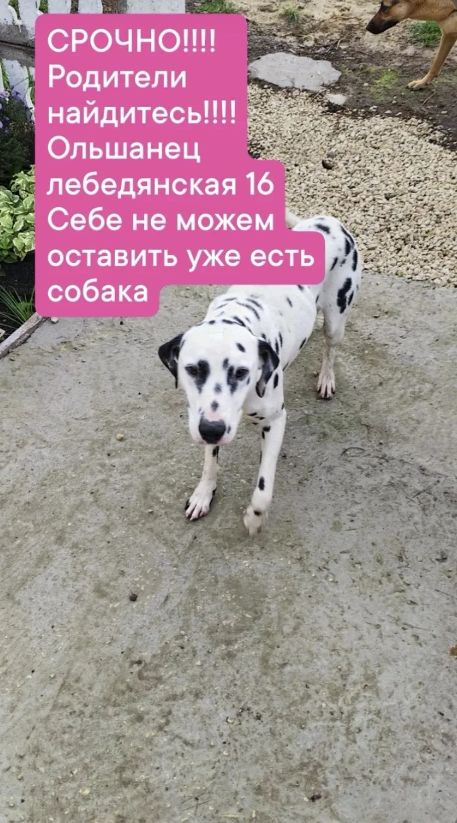 🆘 Нужна помощь 🆘