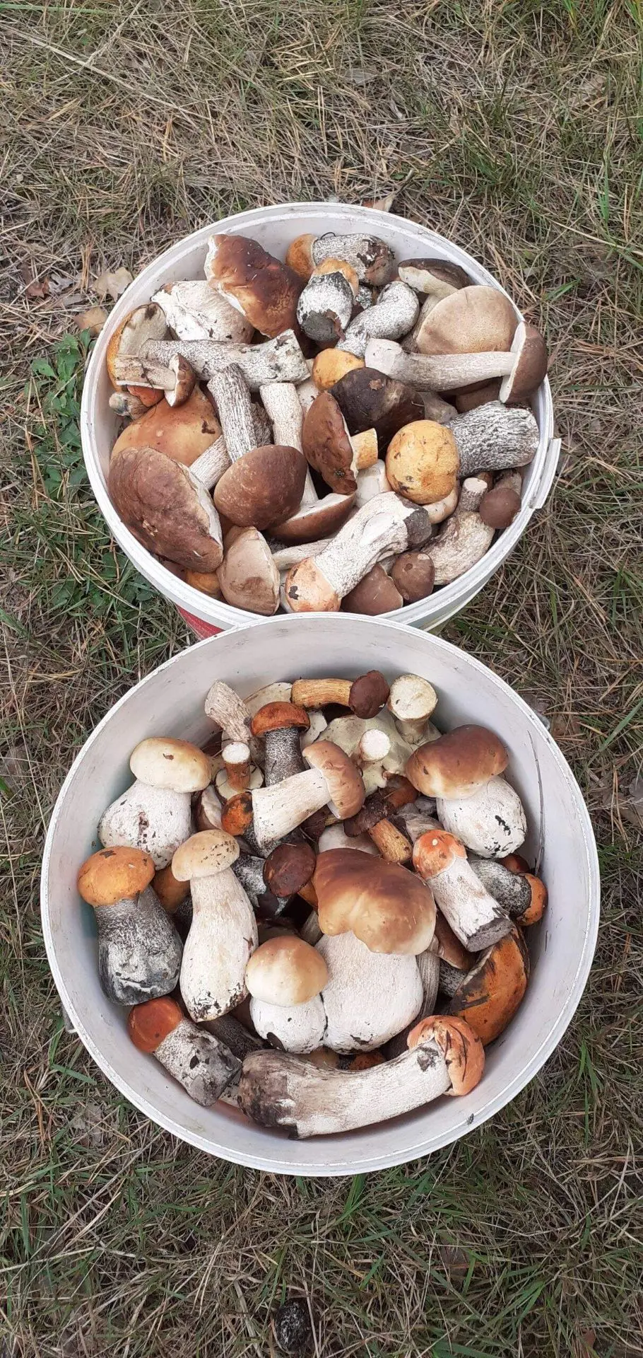 Воронеж.