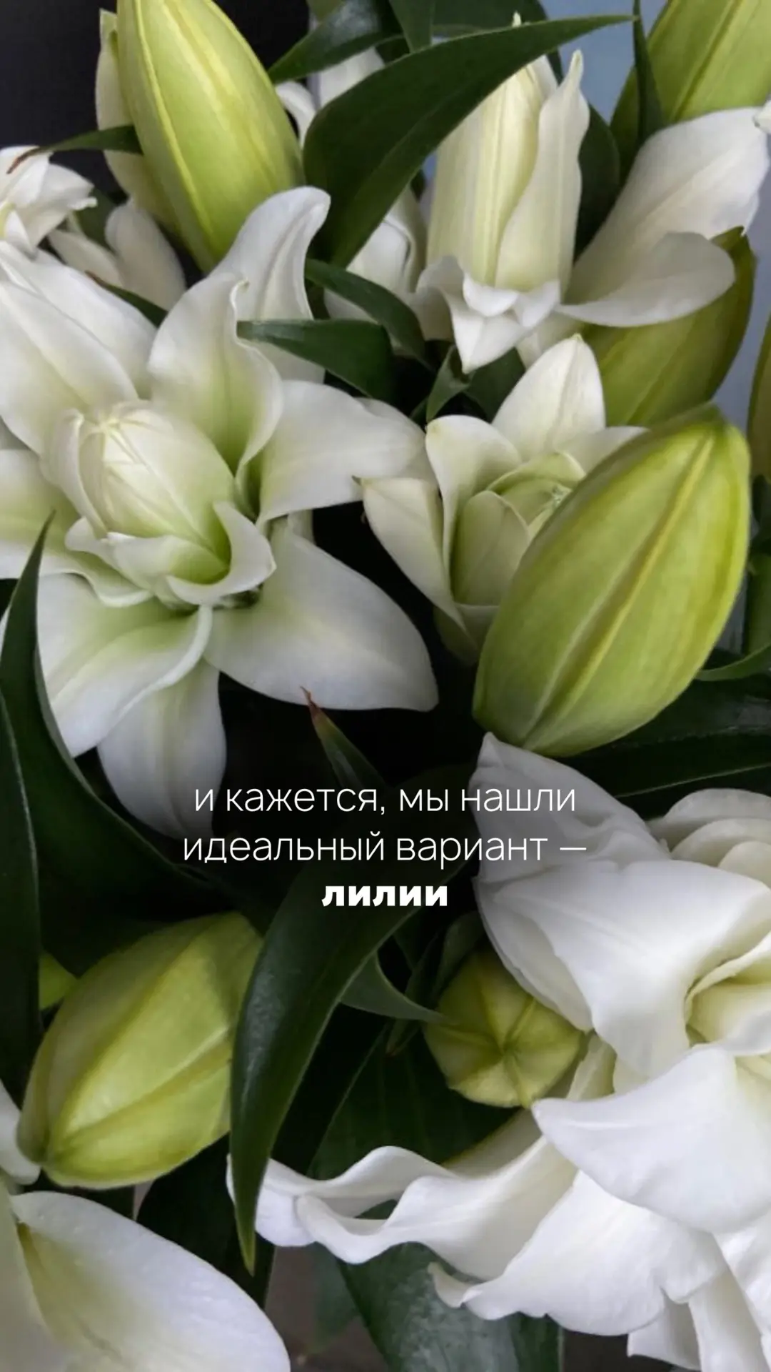 История одного заказа ✨