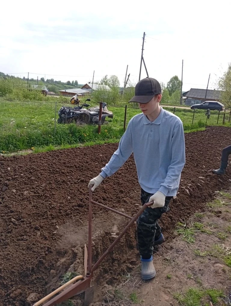 Агроклассы нашей школы  в действии! 🌱