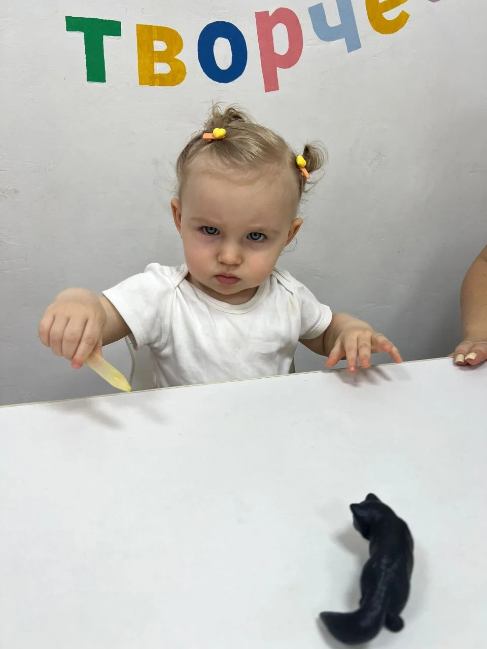 Мадам недовольна 😁