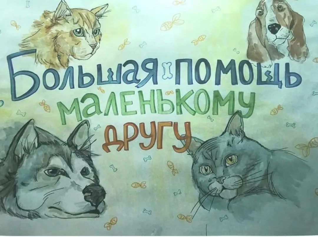 Акция «Большая помощь маленькому другу» помощь  приюту "Зооспас ", проходит с 28 сентяб...