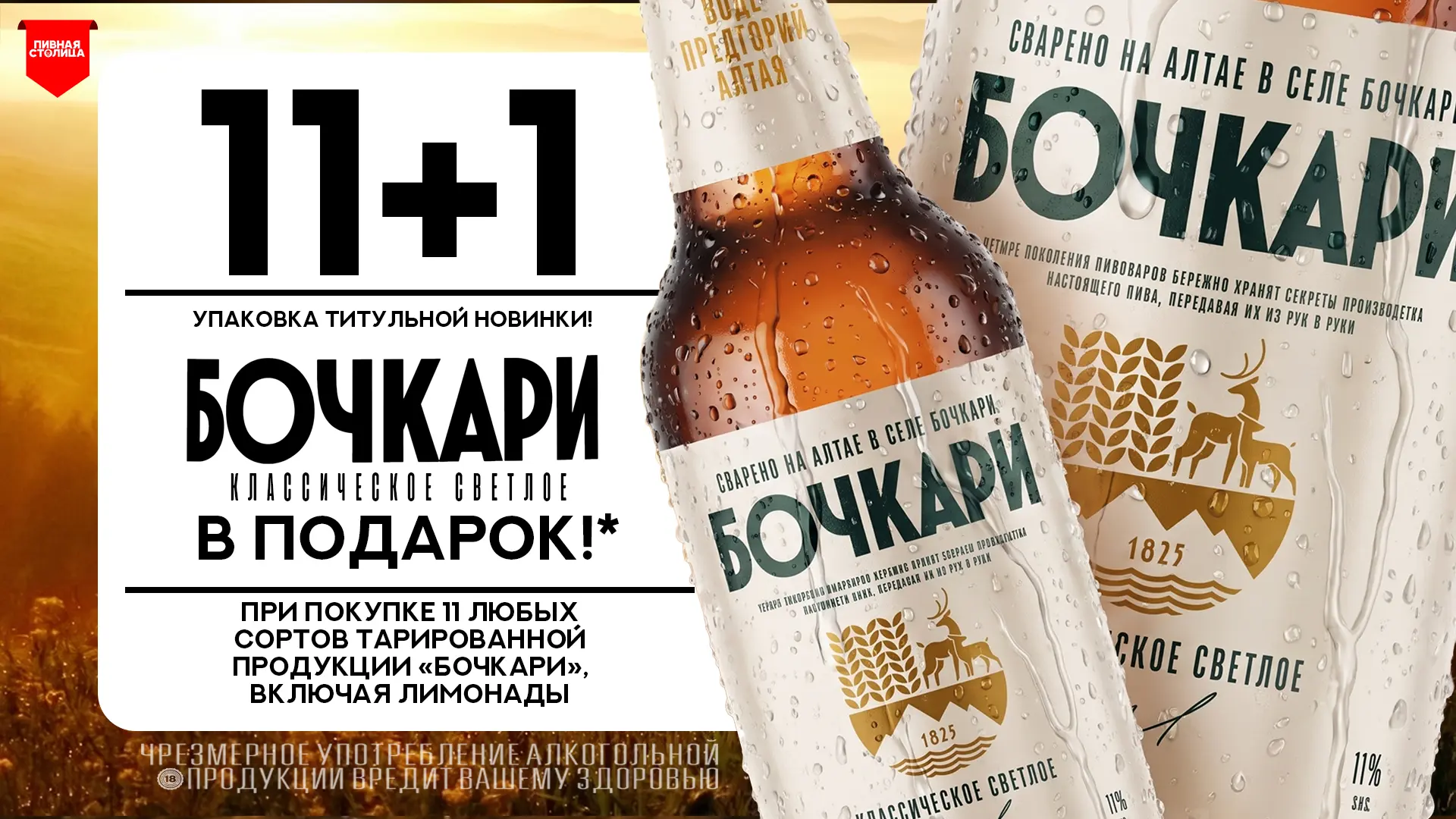 11 + 1! БОЧКАРЁВСКАЯ ДЮЖИНА! БЕЗ ЛИШНИХ УСЛОВИЙ - ДЛЯ ВСЕХ КЛИЕНТОВ!