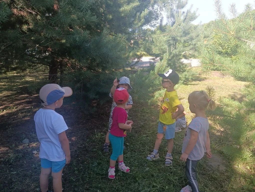 🎉 «В гости к деревьям!» 🌲🌳