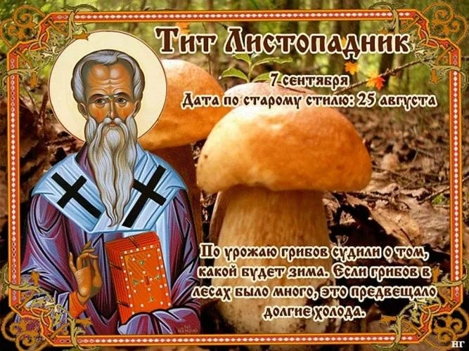 💥 Доброе утро, подписчики!