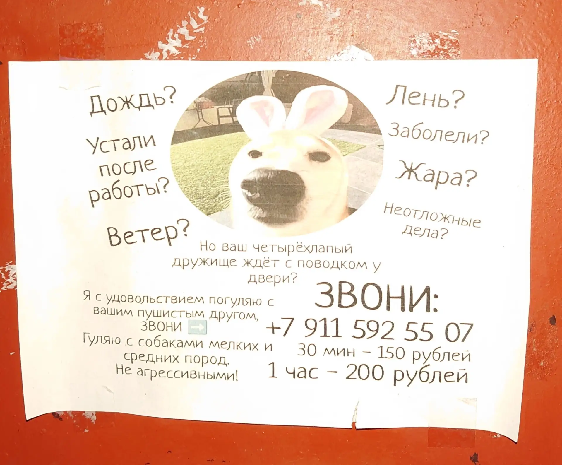#работа@mp29rus