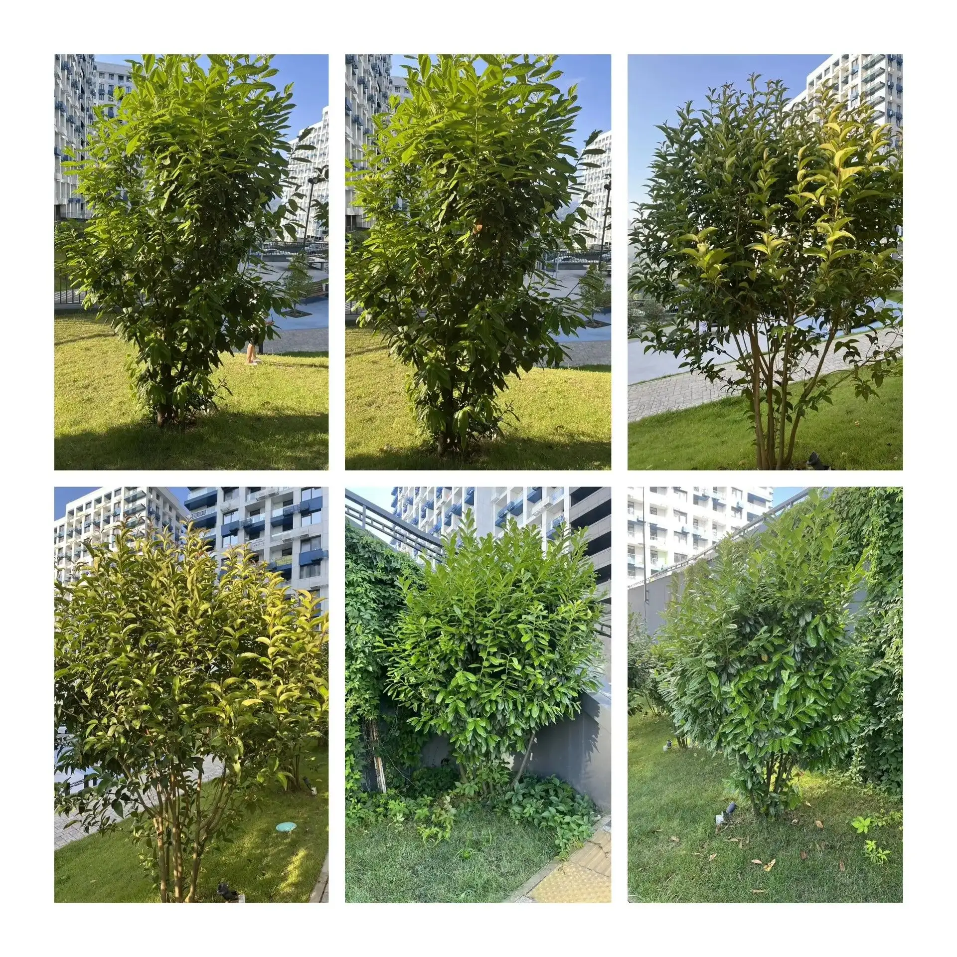 Фото