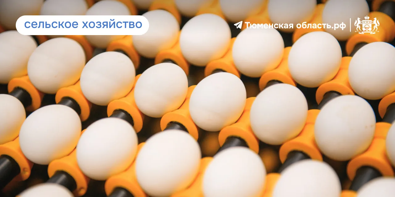 🏭 В Тюменской области появится больше рабочих мест