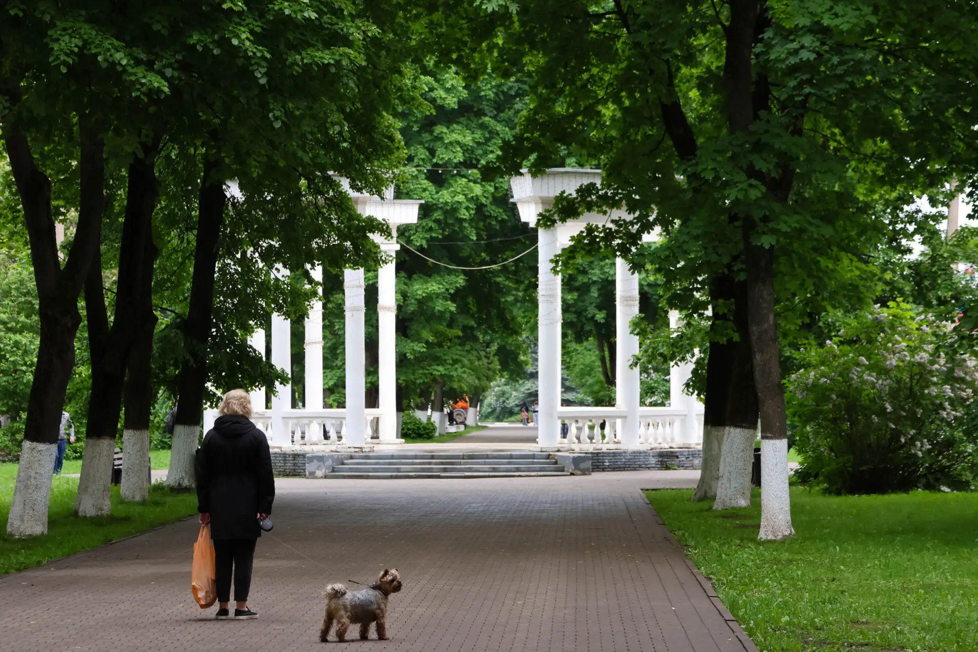 Погода дает передышку. В прохладе работается эффективнее! Хорошей недели, Новомосковск ❤️