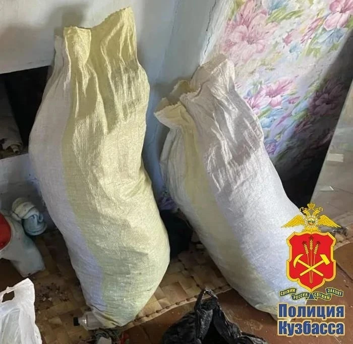 У жителя Топок нашли около восьми килограммов марихуаны