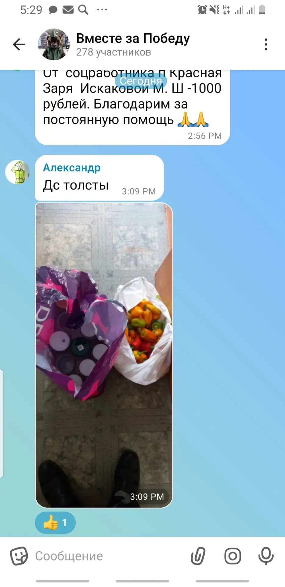 Мы собрали перец болгарский, выращенный сотрудниками на участке, и отправили его вместе...