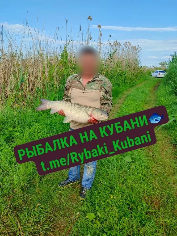 11.06