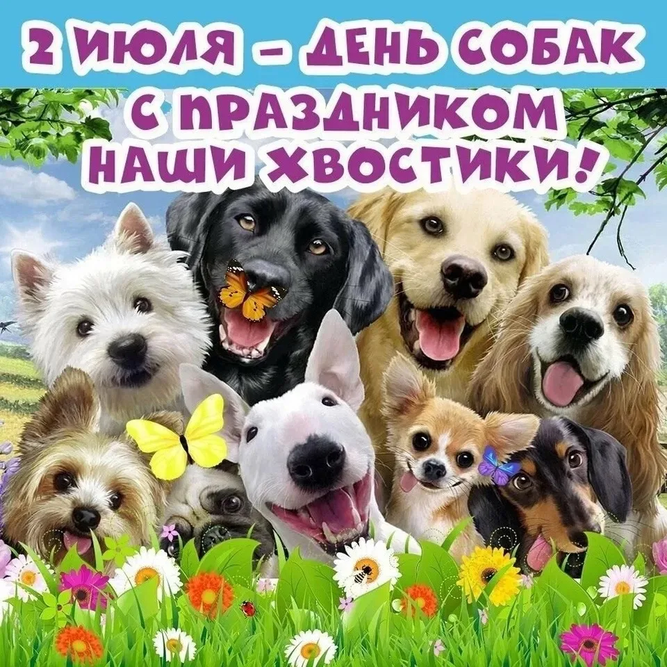 С днём собак!