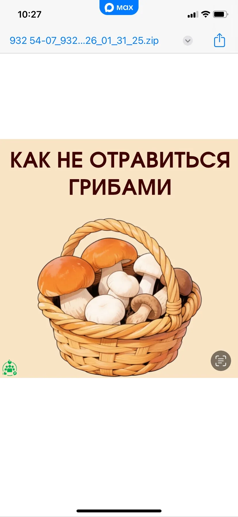 Как не отравиться грибами!