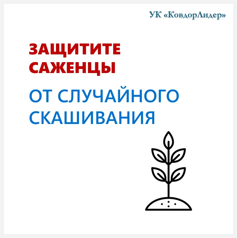 🌿 Уважаемые жители! Управляющая компания приступила к покосу травы на придомовых территориях. Пожал