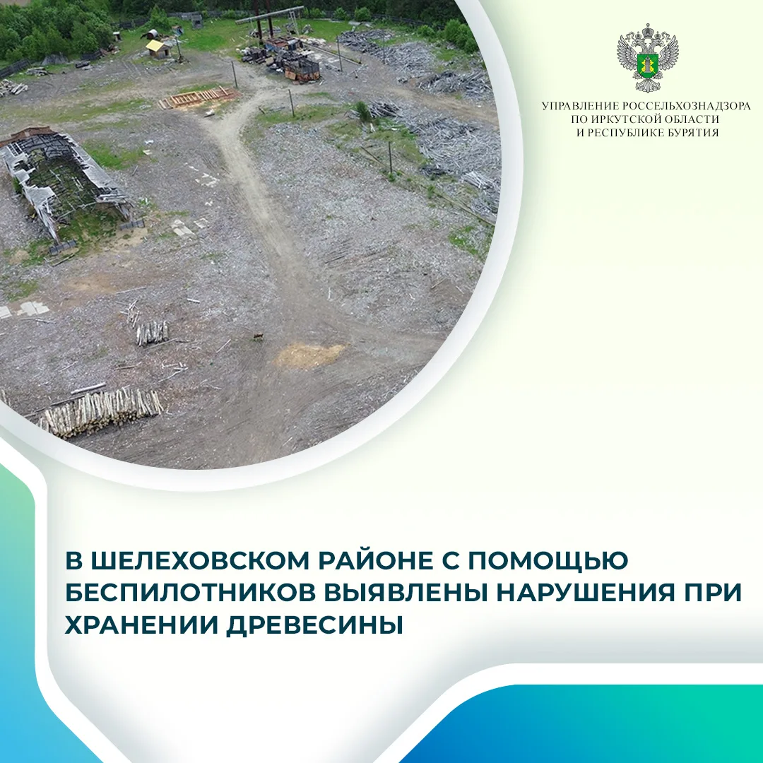 Современные технологии помогают следить за соблюдением требований законодательства в лесной отрасли 