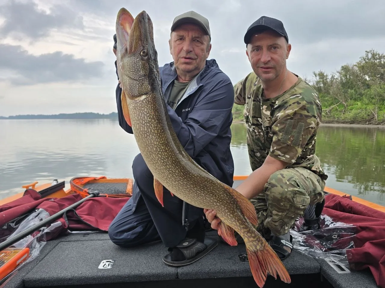 Хроники Ковчега 🎣