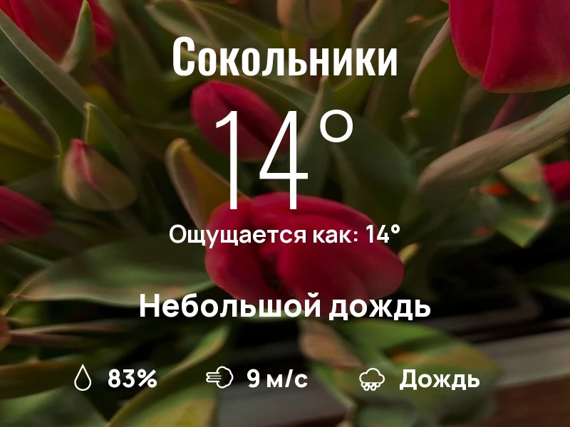 Что с погодой в Сокольниках?