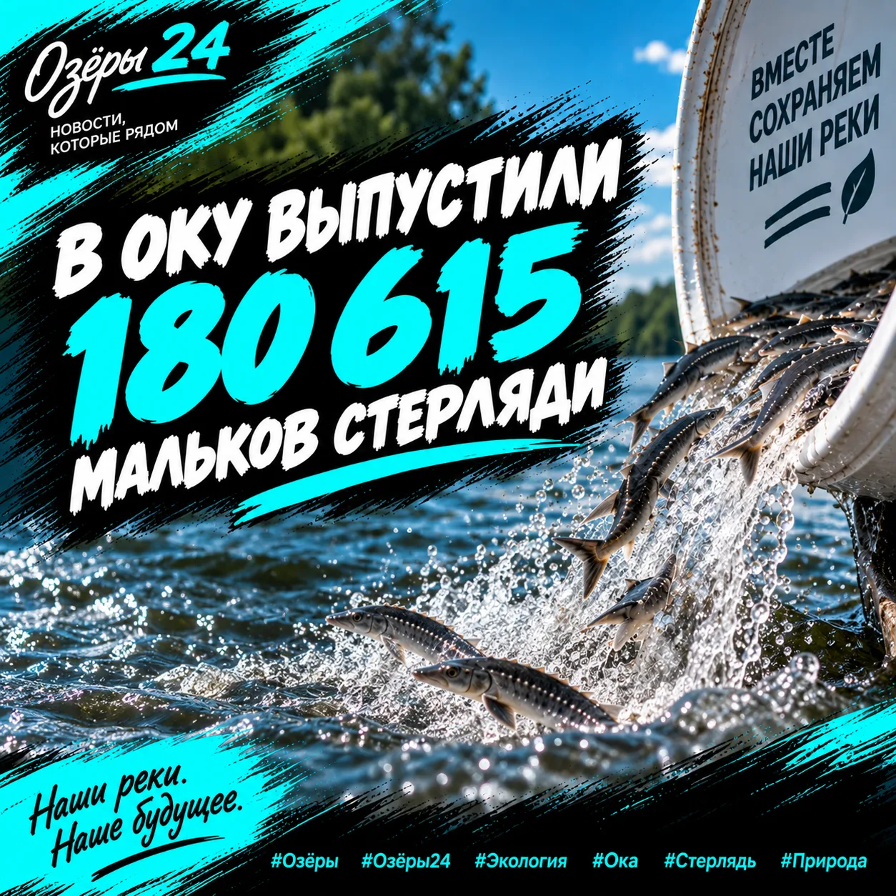 🐟 В Оку выпустили 180 615 мальков стерляди.