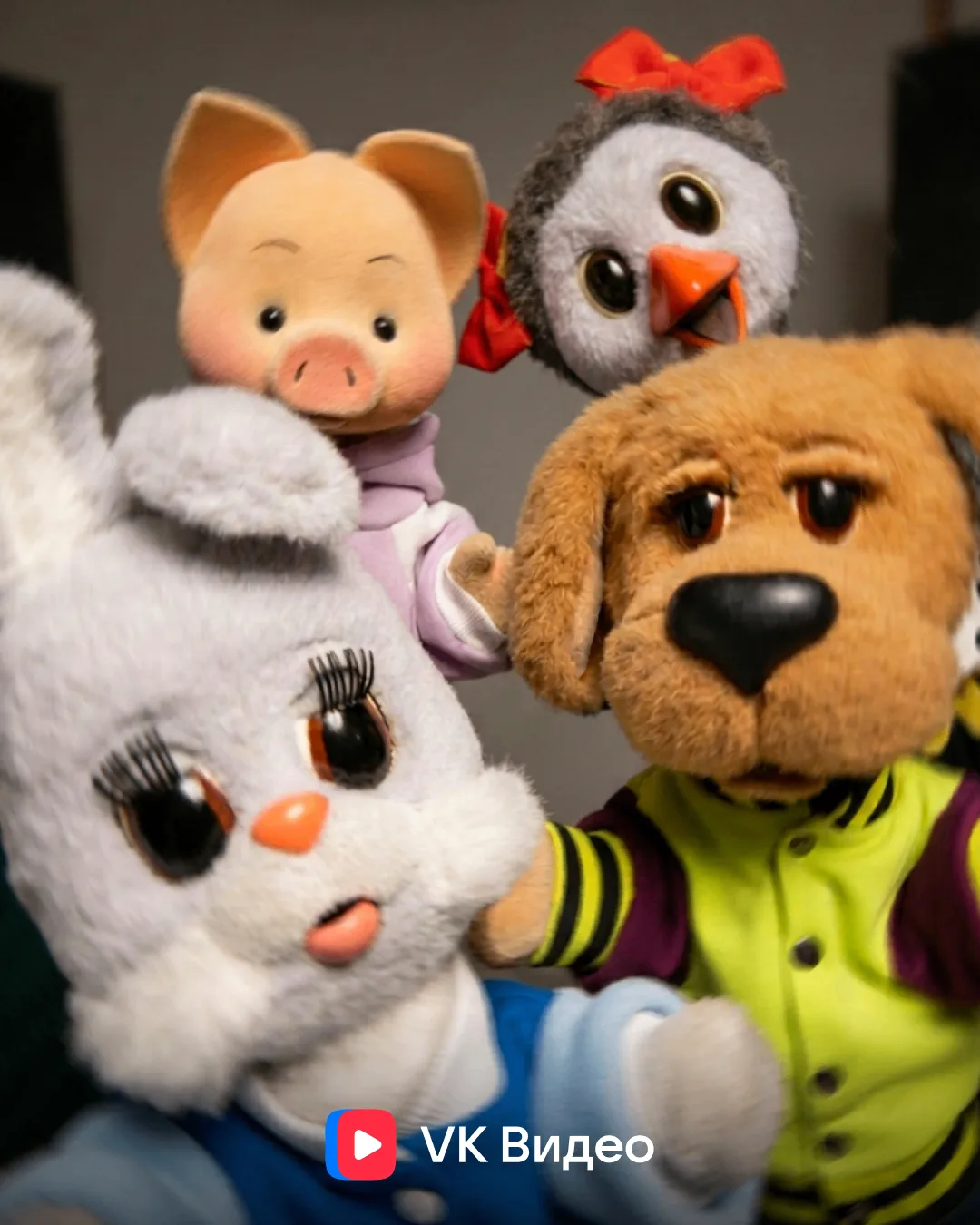 Внимание: соцсети VK Видео захвачены! Сопротивление бесполезно 🐷🐰🐶🐦

Сегодня здесь командуют Хрю