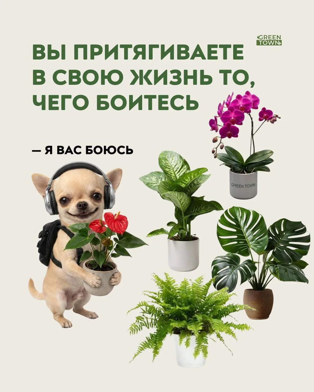 Вдруг сработает!😅🪴