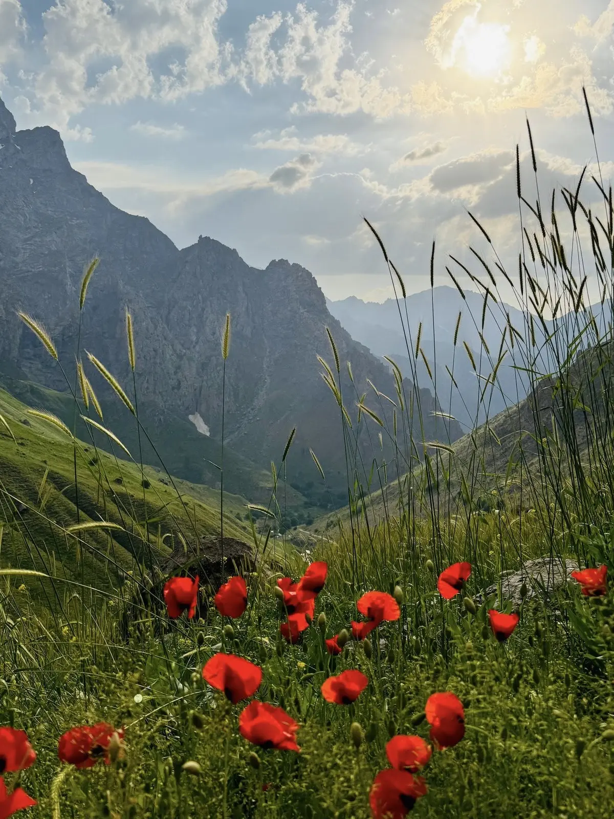 Лето в горах: когда природа важнее суеты 🏔️✨