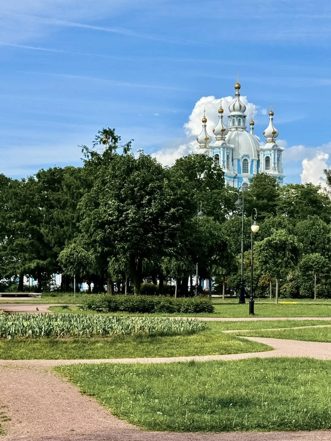Сад - партер Смольного🌳