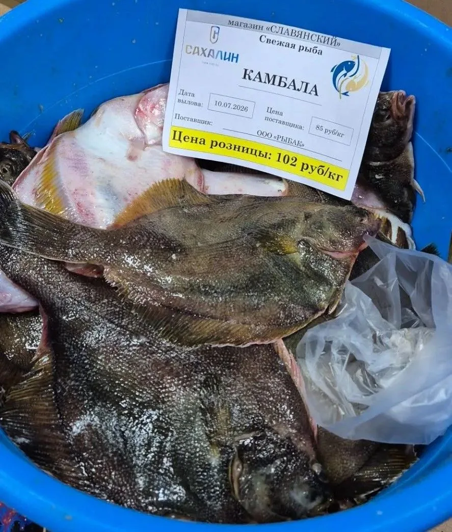 🐟 Свежая камбала по 102 руб/кг реализуется сегодня в торговых объектах города по адресу: