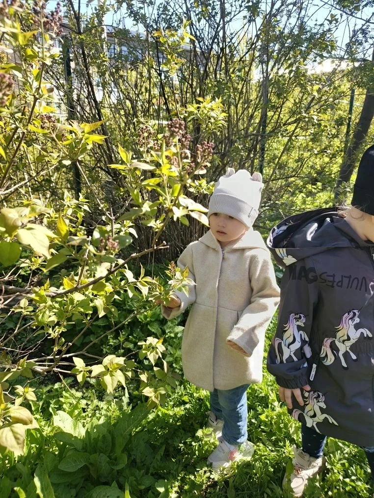 Сегодня ребята первой младшей группы на прогулке открыли для себя удивительный мир прир...