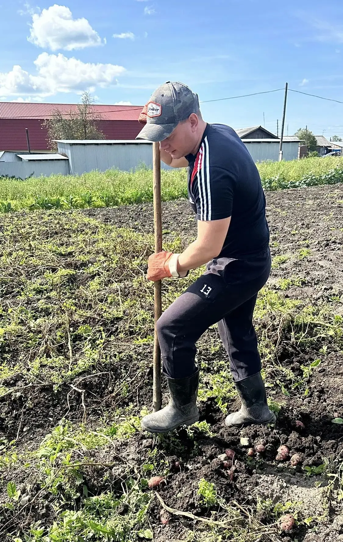 Админ копает картошку у родителей 🥔