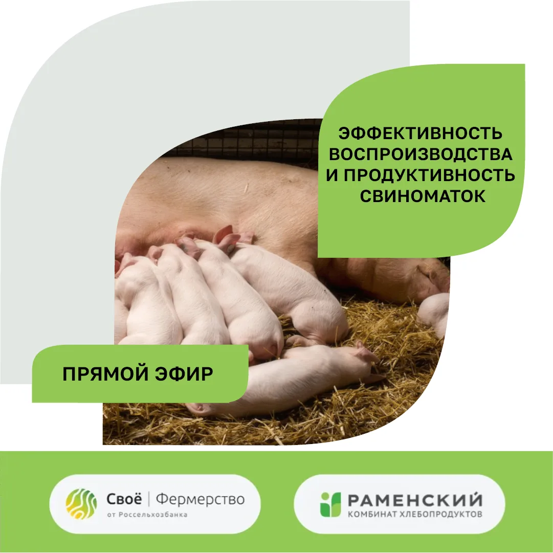 В прямом эфире вместе с партнёрами из "Россельхозбанка", проект "Своё фермерство" расск...