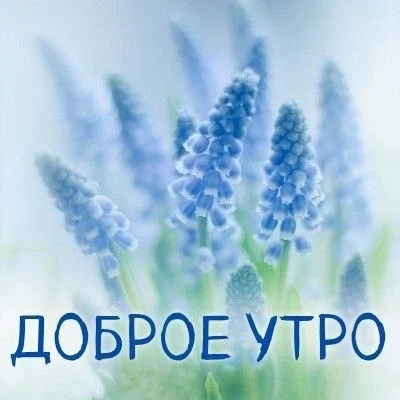 🩵🌿🩵🌿🩵🌿🩵🌿🩵🌿

Доброго, благословенного утра желаю! Пусть утро будет действительно добрым и р