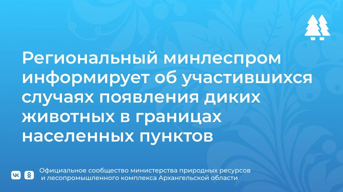📍🐻 В последнее время дикие животные все чаще стали появляться в населенных пунктах